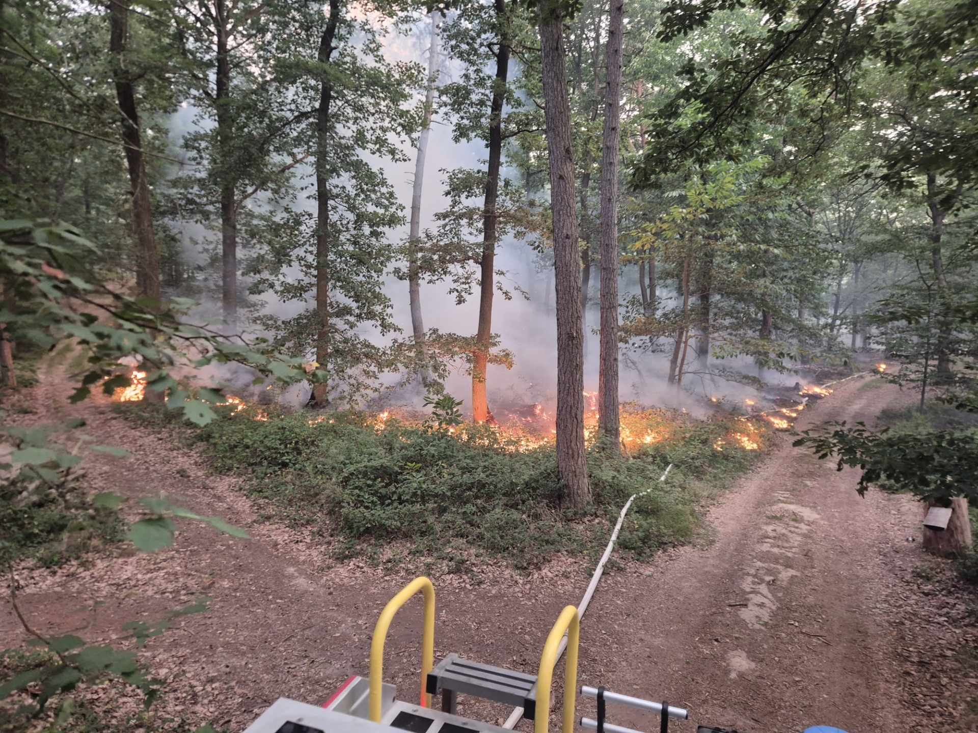 Waldbrand in Traisen