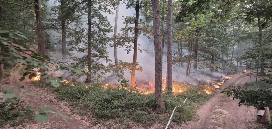 Waldbrand in Traisen