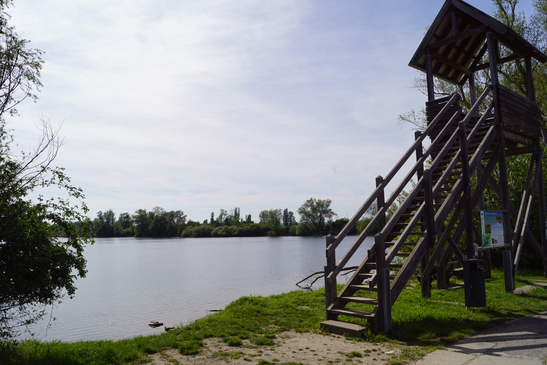 Blick von der Beobachtungshütte des Altrhein Erlebnis-Pfads