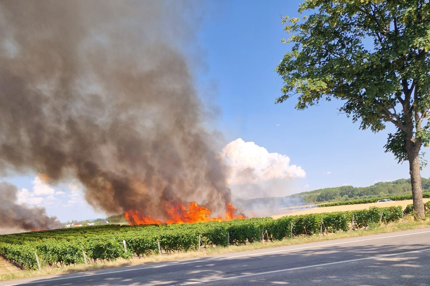 Flächenbrand