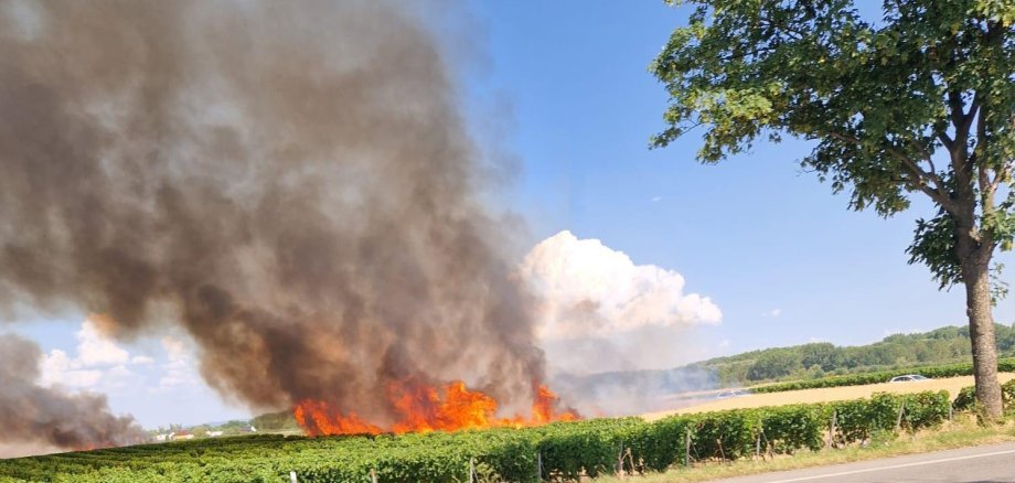 Flächenbrand, Foto: Feuerwehr VG Eich