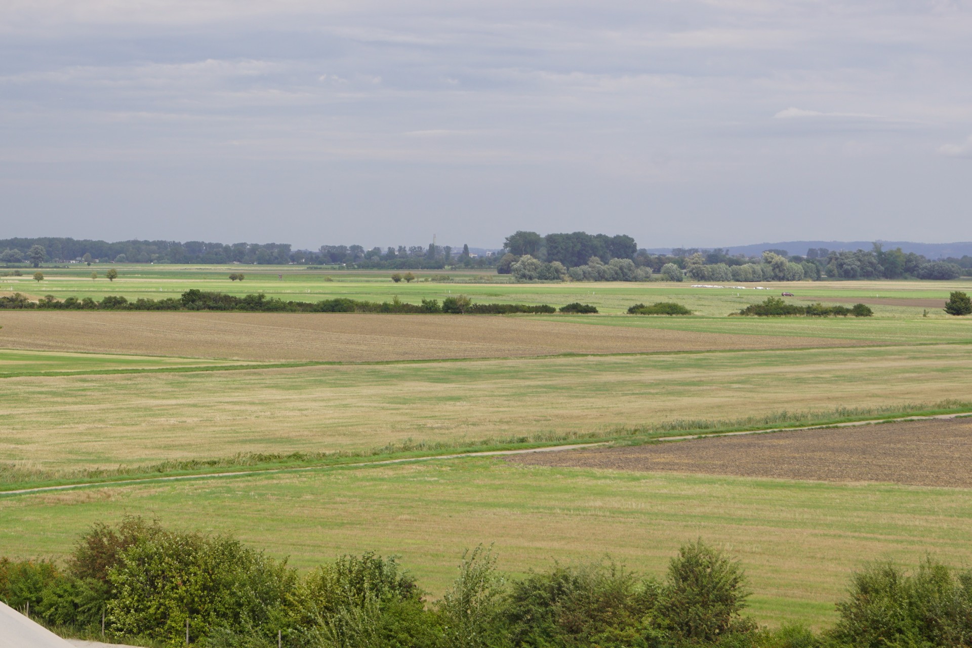 Natur VG Eich