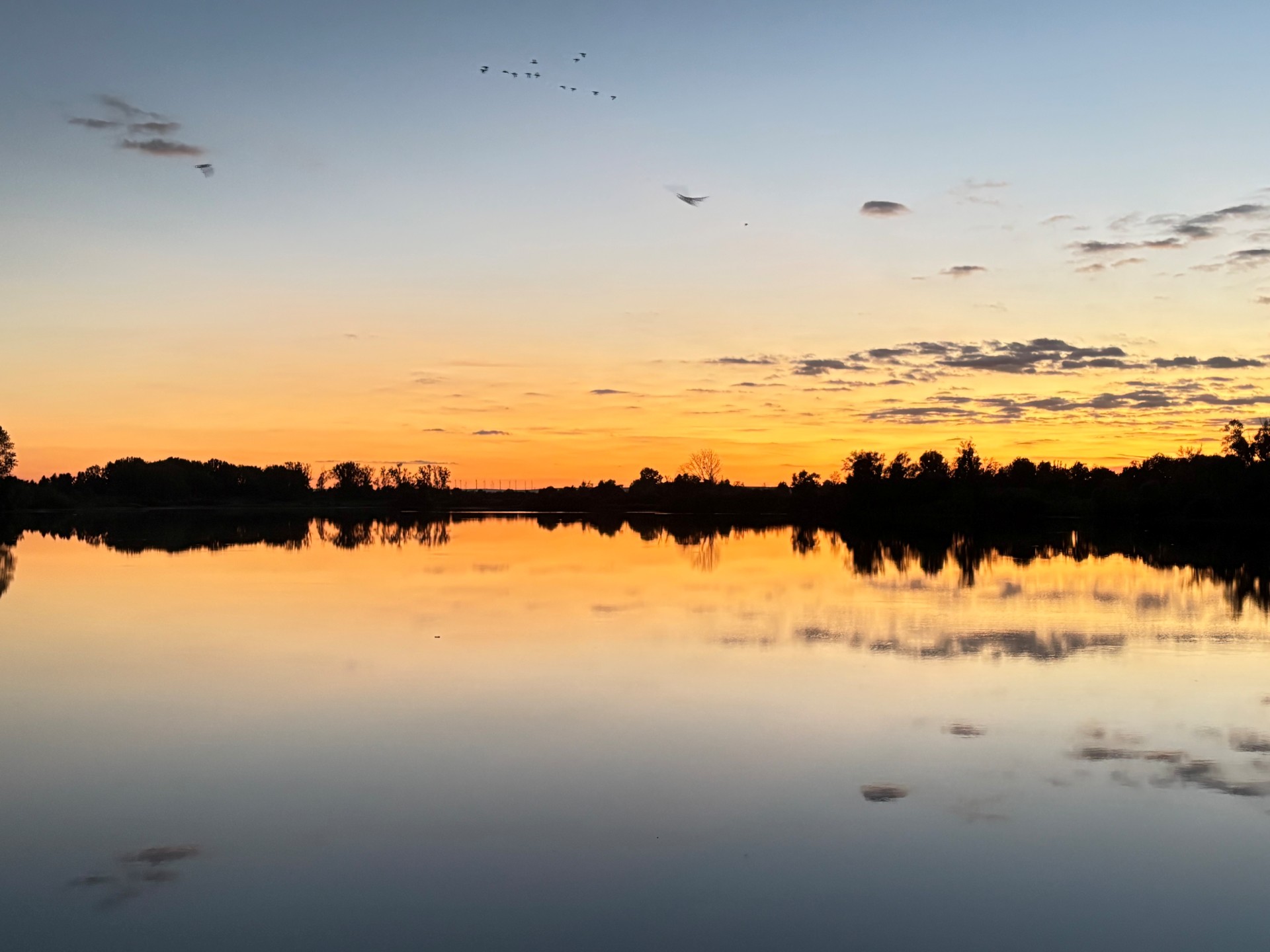 Sonnenuntergang am Althrheinsee