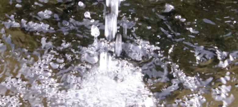 Wasser