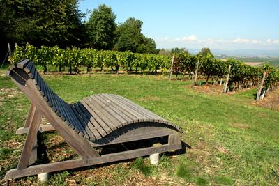Aussicht von der Hiwweltour Heideblick an der Winzeralm in Siefersheim