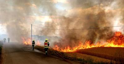 Fl&auml;chenbrand